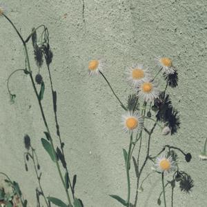 桌子下 漫画下拉式
